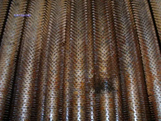 清洗后效果