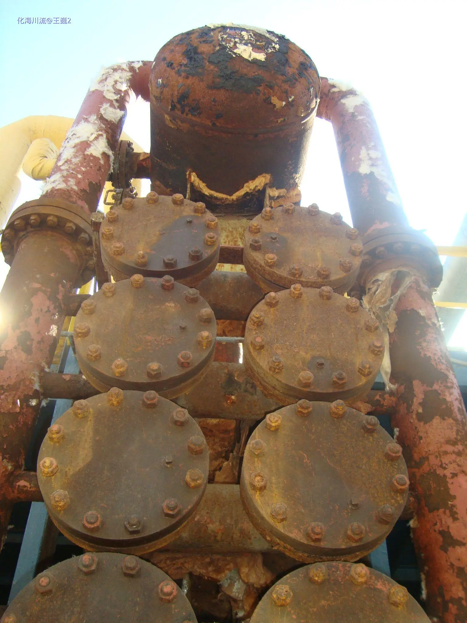DSC04519.webp