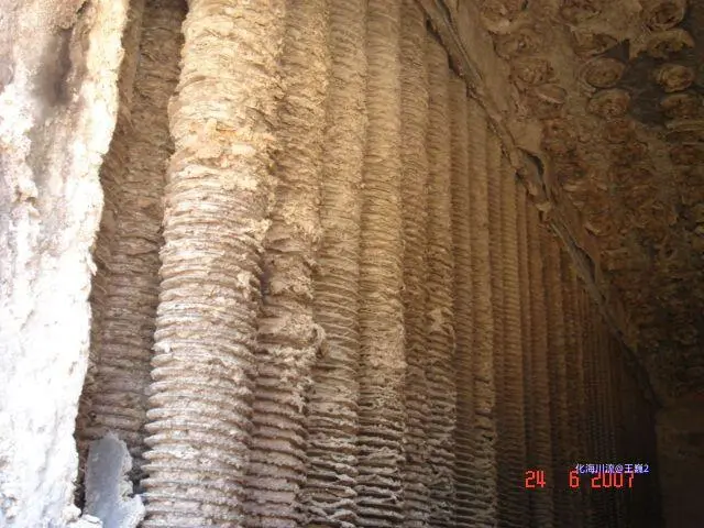 DSC03570.webp