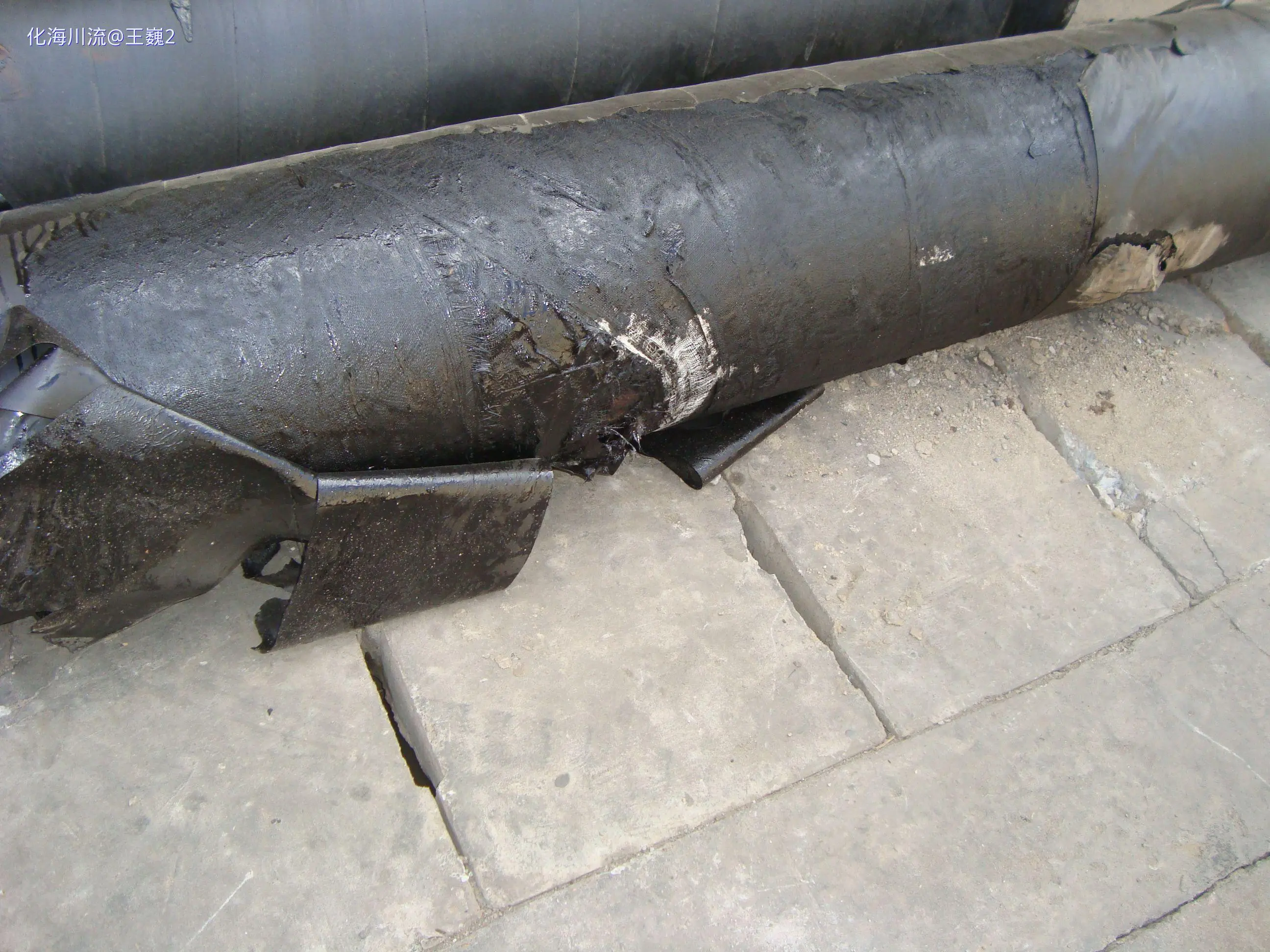 DSC09877.webp