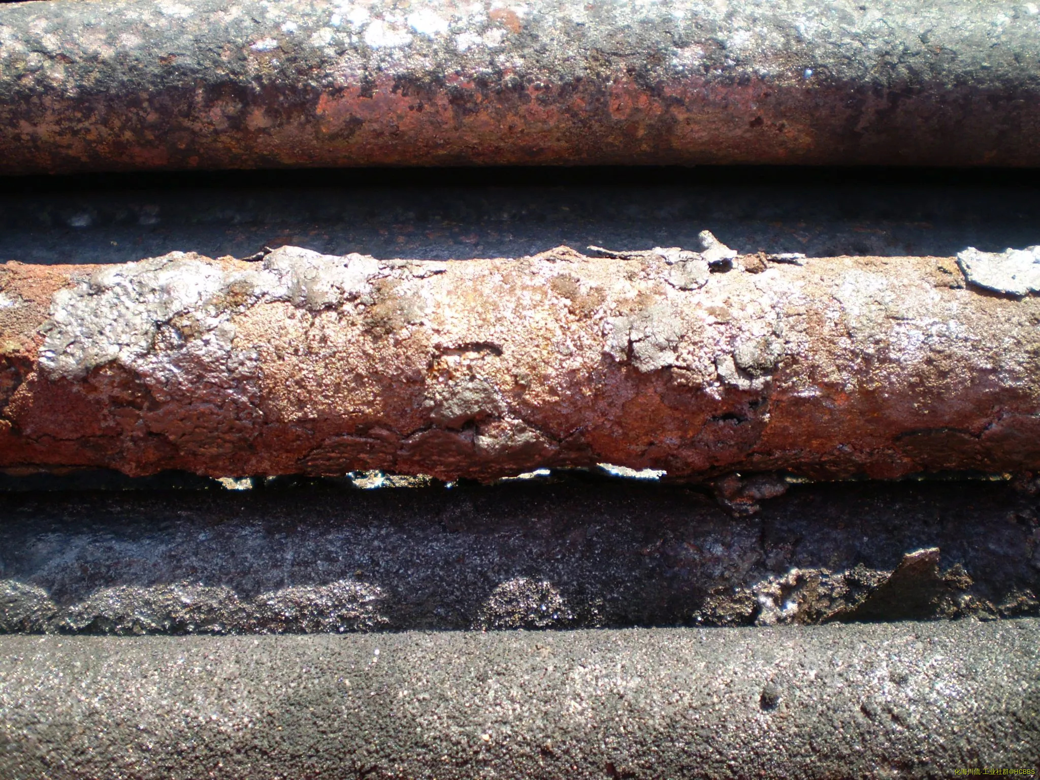 P8050299.webp