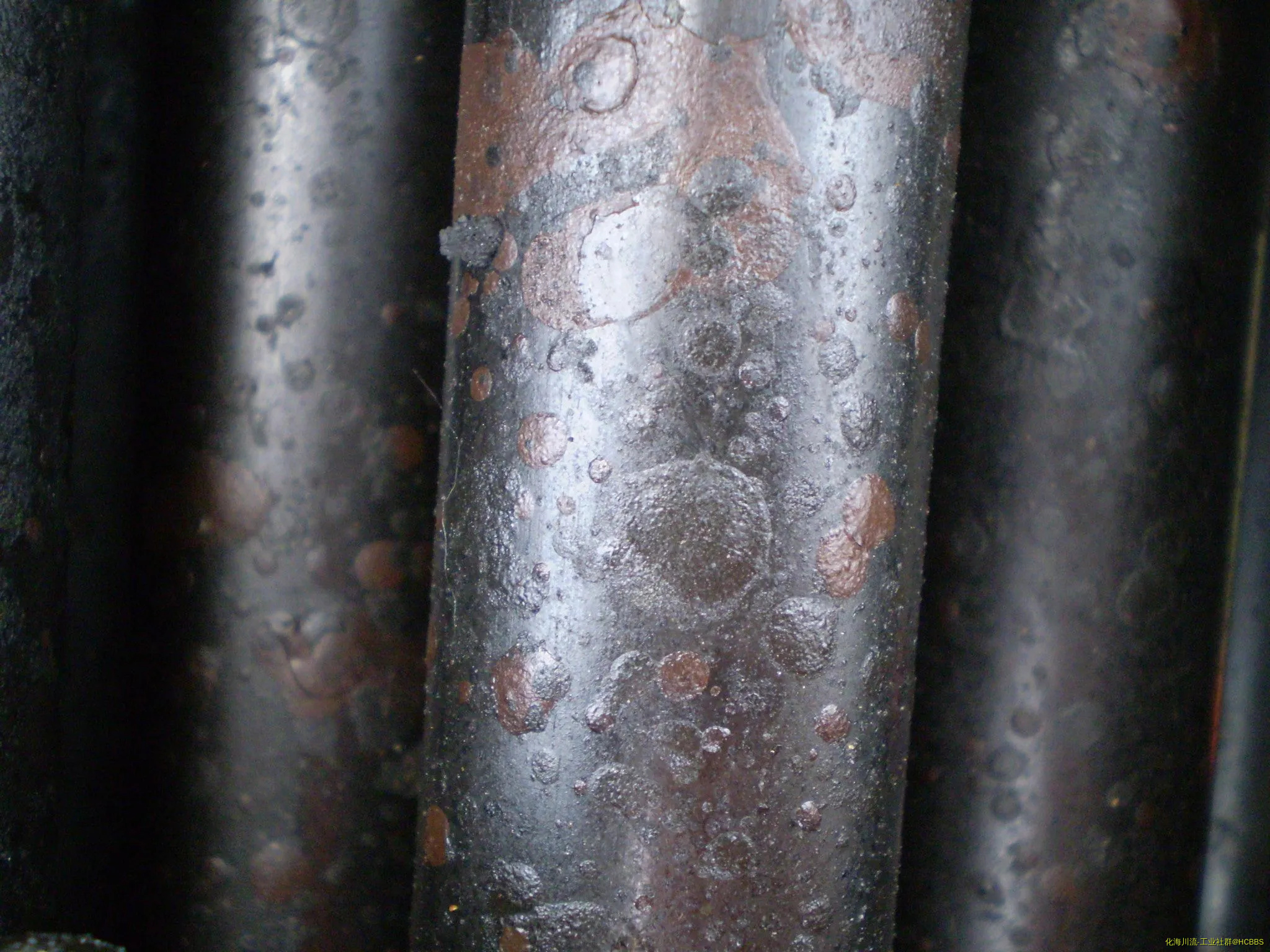 P8060291.webp