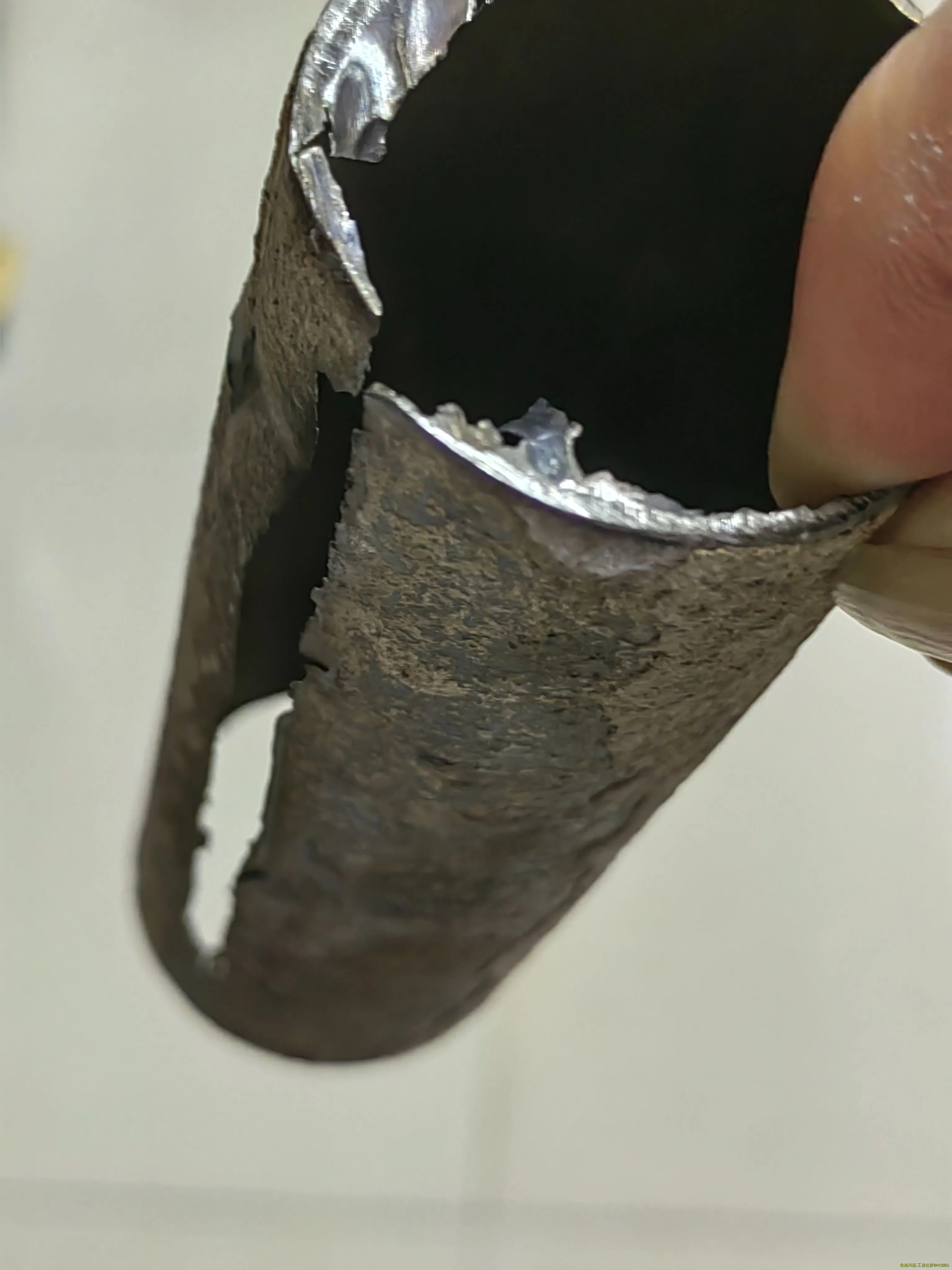 管束切割解剖