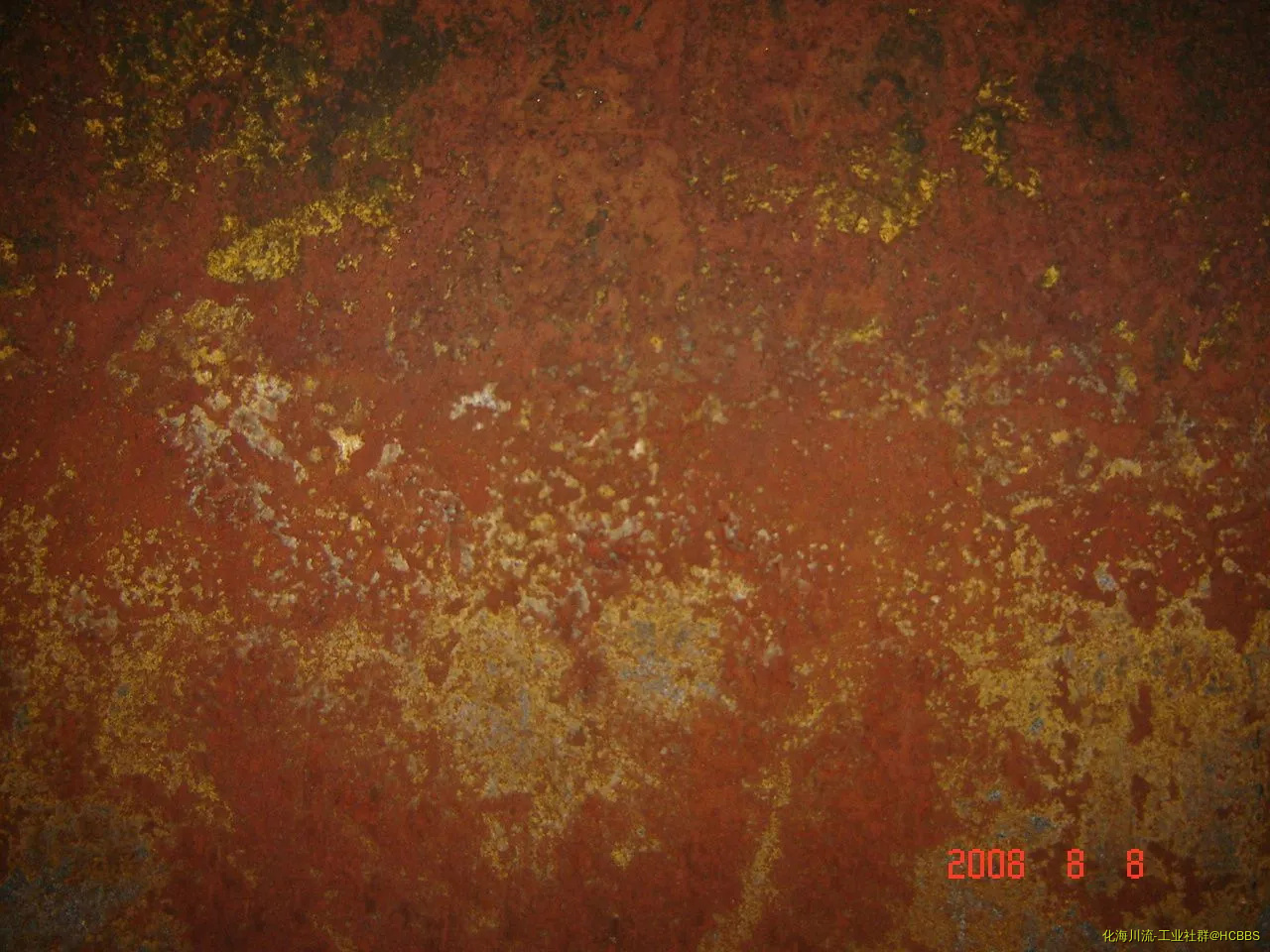 大庆照片20080808 092.webp