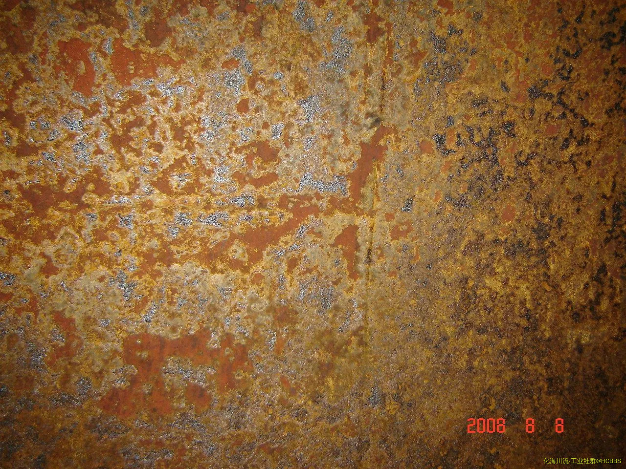 大庆照片20080808 094.webp