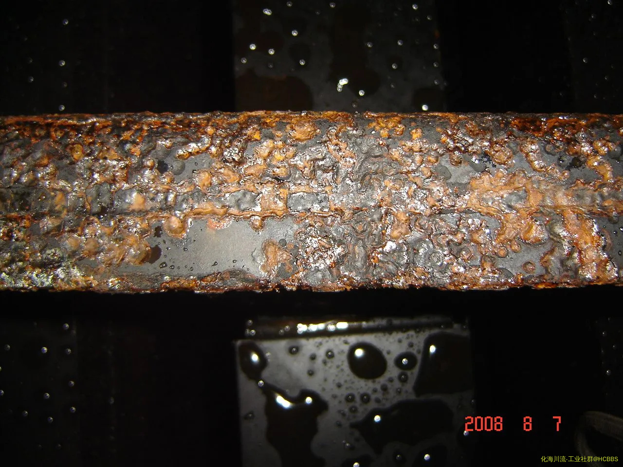 大庆照片20080807 067.webp