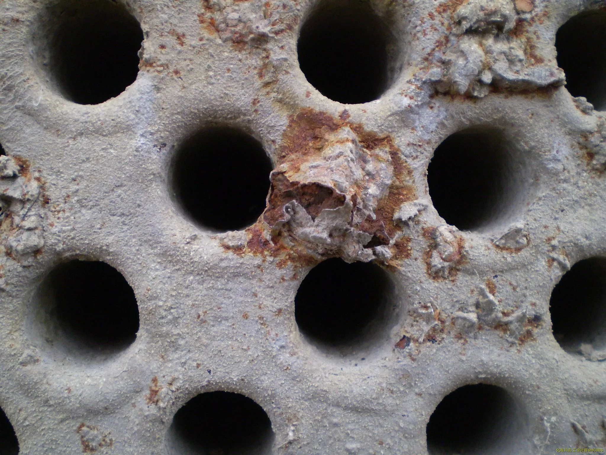 P8060286.webp