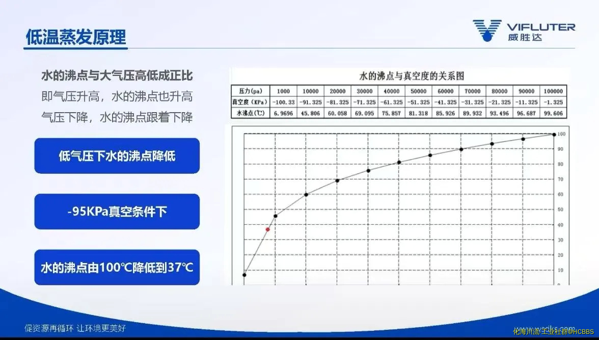 7.webp