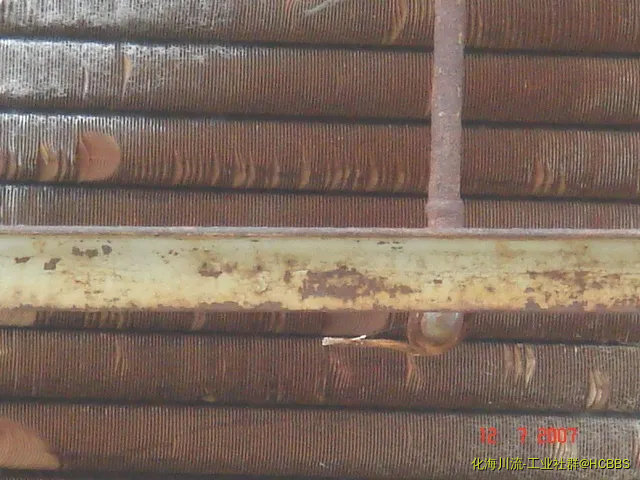 DSC03956.webp