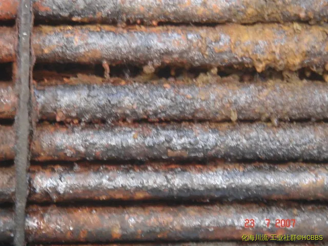 DSC04756.webp