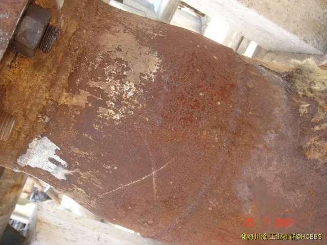 DSC04919.webp