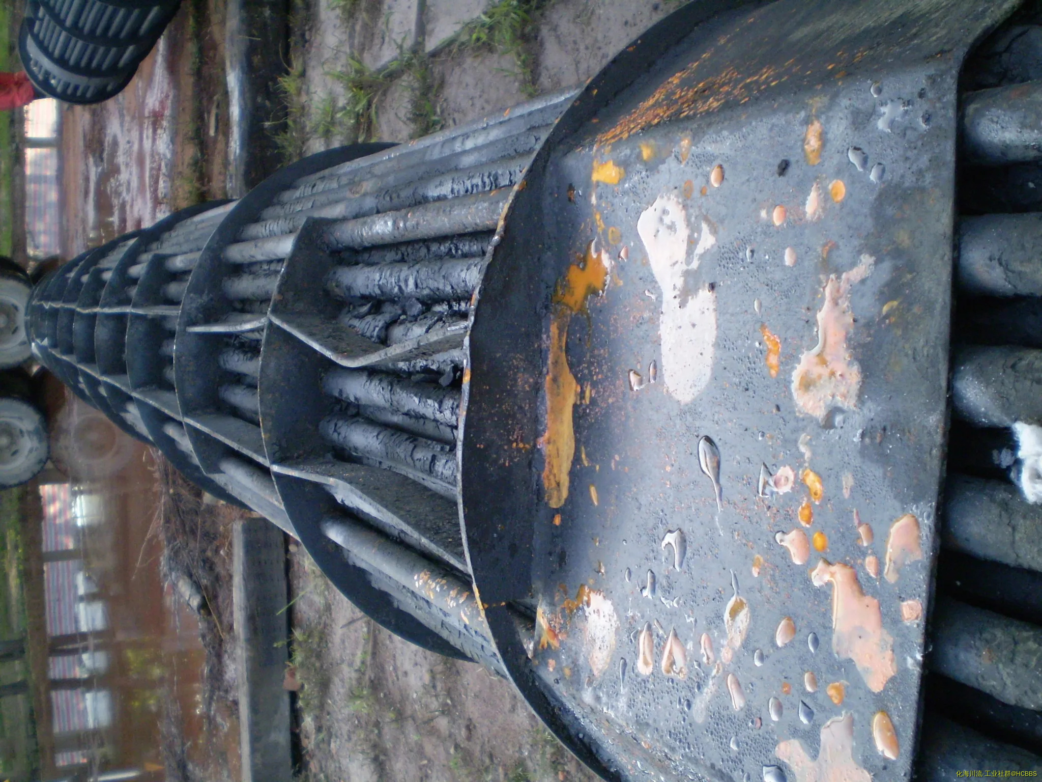 P8050402.webp