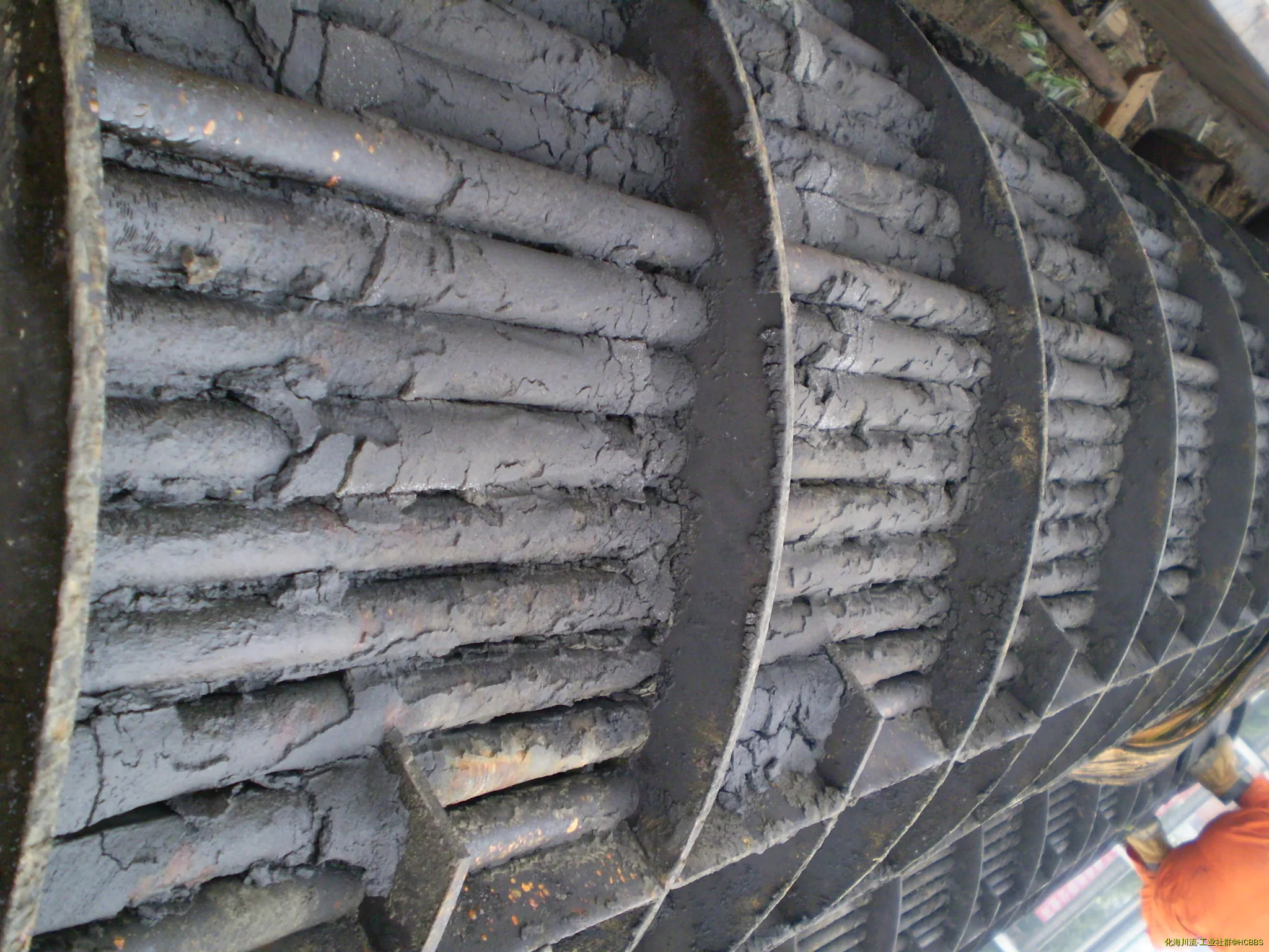 P8060214.webp