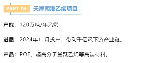 5.webp