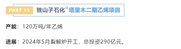 11.webp