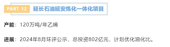 12.webp