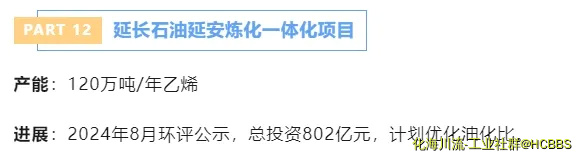 12.webp