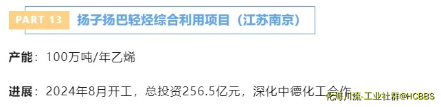 13.webp